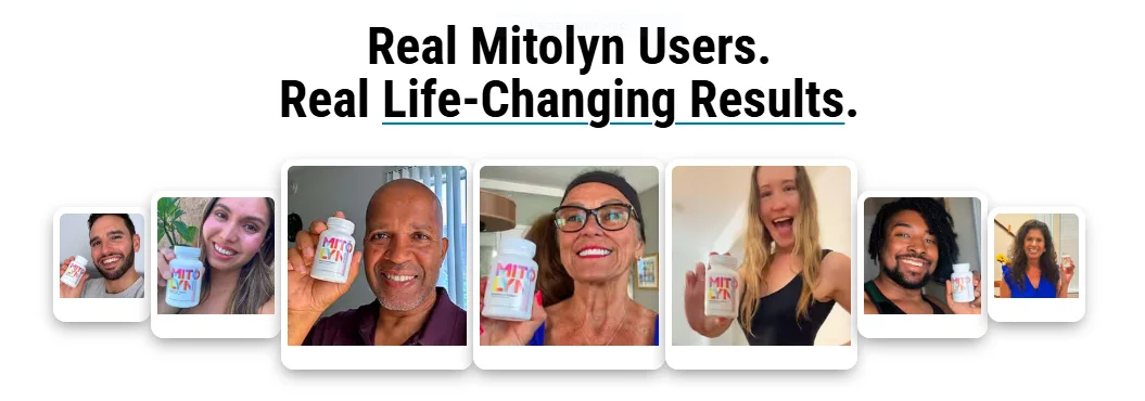 mitolyn supplement